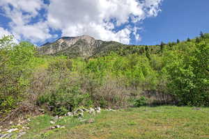 View of mountain background featuring a forest