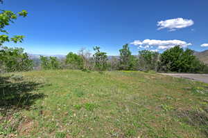 View of yard with a mountain view
