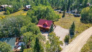 Aerial view featuring a view of trees