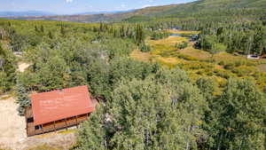 Drone / aerial view featuring a mountain view and a wooded view