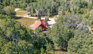 Bird's eye view featuring a forest view