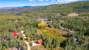 Aerial view featuring a mountain view and a forest view
