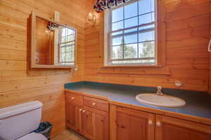 Bathroom featuring toilet, wooden walls, vanity, and visible vents