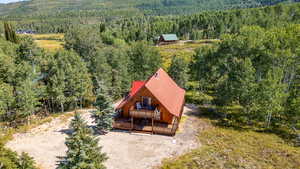Aerial view featuring a view of trees