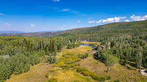 Drone / aerial view featuring a mountain view and a wooded view