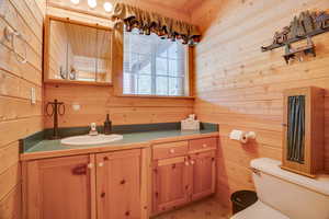 Half bathroom featuring vanity and wooden walls