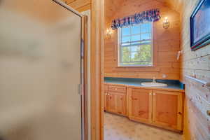 Bathroom featuring a shower stall, wood walls, and vanity