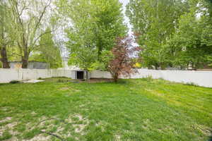 View of yard with an outbuilding.  Plenty room for garden