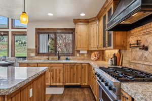 Kitchen featuring glass insert cabinets, a sink, dark wood-type flooring, stainless steel stove, and custom range hood