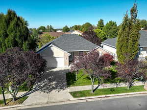 View of front of property featuring driveway, roof with shingles, a front yard, an attached garage, and stucco siding