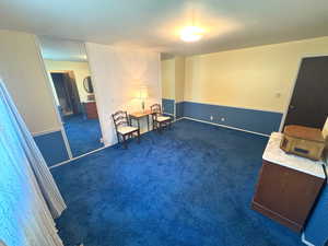 Master room with baseboards and carpet