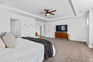 Bedroom featuring a raised ceiling, carpet floors, baseboards, and visible vents