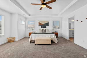 Bedroom with multiple windows, carpet flooring, and a tray ceiling