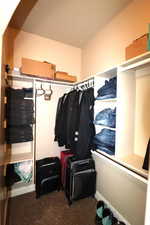 Spacious closet with carpet flooring