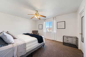 Bedroom featuring ceiling fan, carpet, and baseboards