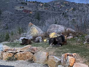 View of yard featuring a mountain view