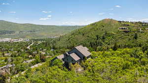 View of mountain background featuring a forest