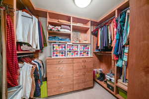 Spacious closet featuring carpet floors