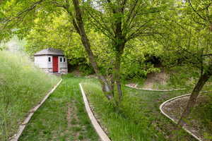 View of yard with an outdoor structure and a view of trees