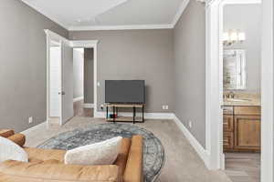 Living area with baseboards, ornamental molding, and light colored carpet
