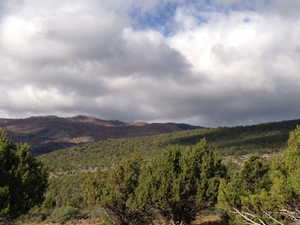 View of mountain feature featuring a view of trees