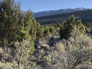 View of mountain feature featuring a view of trees