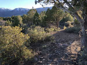Property view of mountains featuring a forest view