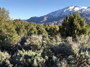 Mountain view with a wooded view