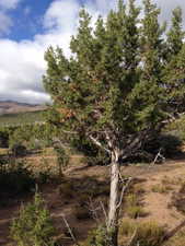 View of landscape