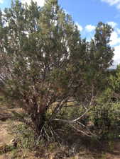 View of landscape