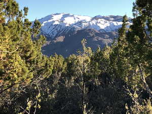 Property view of mountains featuring a forest view