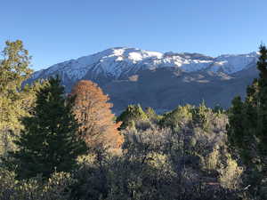 Mountain view
