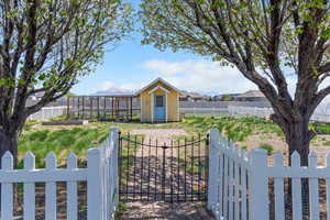 Chicken Coup and large grazing area.