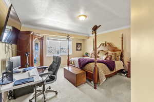 Bedroom featuring crown molding, a textured ceiling, and carpet flooring