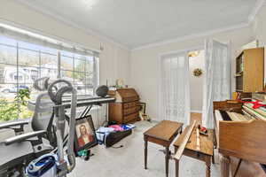 Interior space featuring crown molding and carpet flooring