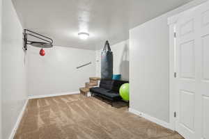 Living area with baseboards and carpet flooring