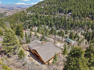 Bird's eye view with a forest view and a mountain view
