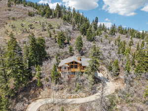 Birds eye view of property