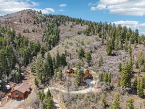 Birds eye view of property with a wooded view and a mountain view