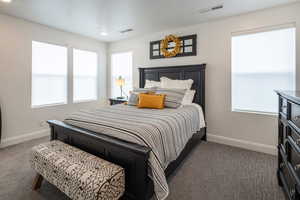 Bedroom featuring carpet, baseboards, visible vents, and multiple windows