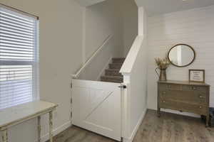 Stairway with wooden walls, baseboards, and wood finished floors