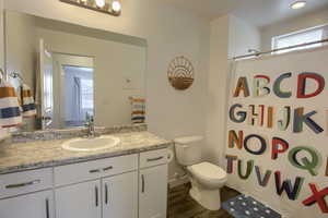Full bathroom with vanity, toilet, wood finished floors, and a shower with shower curtain
