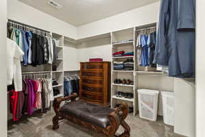 Spacious closet with visible vents and carpet