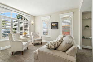 Living area with carpet floors, baseboards, and built in shelves