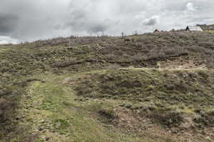 View of local wilderness