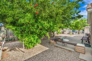 View of yard with a patio area and a fenced backyard
