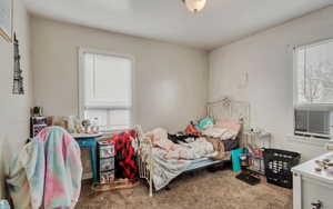 View of carpeted bedroom
