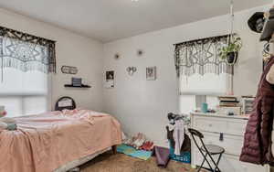 Carpeted bedroom featuring multiple windows