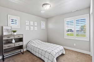 Carpeted bedroom featuring baseboards, visible vents, and multiple windows