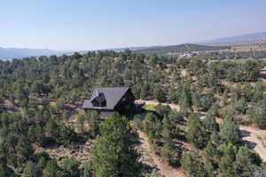 Bird's eye view with a wooded view and a mountain view